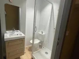 Petit Studio Centre-Ville n°12