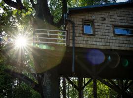 Strazdu Ligzda Off grid treehouse, vakantiehuis in Meņģele