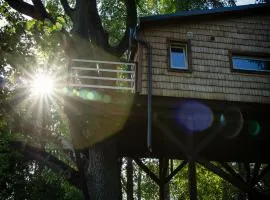 Strazdu Ligzda Off grid treehouse