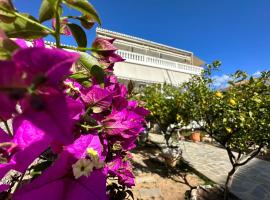 Kamelia Hotel, hotel in Spetses
