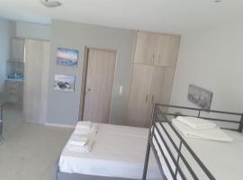 Luxurious apartment foinikas, beach rental in Mitika