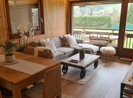 Luxury holidays apartment Praz sur Arly, Hotel in Praz-sur-Arly