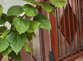 Aparta Estudio Rubí., homestay in San Felipe de Puerto Plata