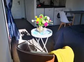Sunny studio La Mata beach