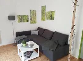 NEU Apartment am Birkenfeld Allgäu Kaufbeuren