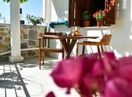 Selena Guest House