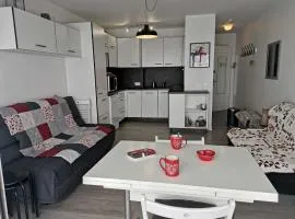 Charmant studio 4 pers avec balcon, centre station, proche pistes, ascenseur - FR-1-404-95