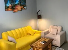 Appart F2 plein centre