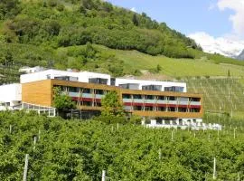 Bio & Wellnesshotel Pazeider - Healing Garden above Meran