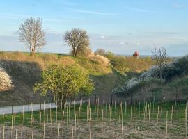 Winnica pod Skrzydłami, hotel-fazenda rural em Santok