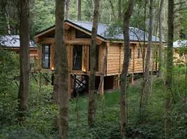 Woodland Park Lodges
