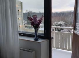 Winter holiday near Tallinn, apartment in Viimsi