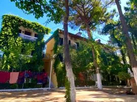 Hotel Andrea