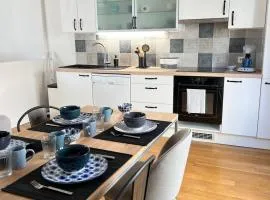 Le Rabelais, superbe appartement en duplex, proche forteresse et monument historique