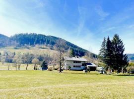 Tolle Wohnung im Gurktal mit Garten, cheap hotel in Carinthia