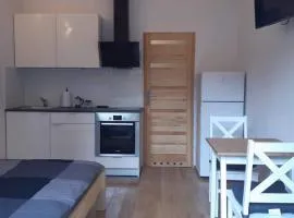 Apartament Klimt 1