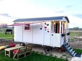 Ontwaken tussen de paarden