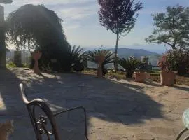 Bed&Rooms Villa La Gatta
