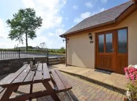 Blaenilar