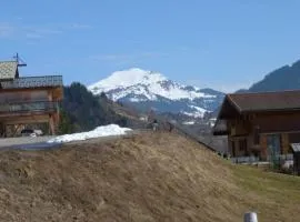 T1 Proche Grand Bornand Et Lac