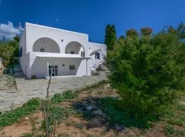 Eva House Dryos Beach Paros