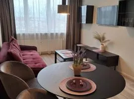 Naujai įrengtas jaukus dviejų kambarių butas