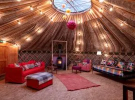 Giant Yurt Sleeping 8 with Spa, Catering, Walled Gardens, Nature Reserve, Free Parking