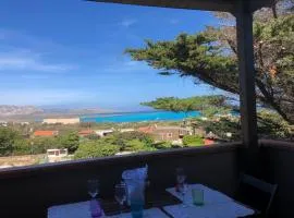 Conchiglia di Stintino Vista Mare