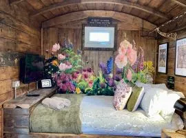 Skipbridge Farm Glamping、Green Hammertonのファームステイ