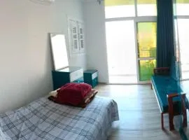 Panoramic Apartment looks over Nile river