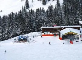 Bavarian Mountain Escape