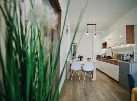 Apartament 30tka by Housine