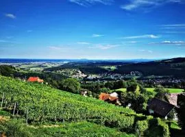 WIEDNERMICHL - Urlaub in den Weinbergen