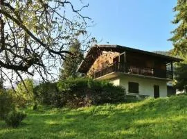 Chalet authentique à Samoëns : spacieux, 4 chambres, terrasse, garage - FR-1-629-103