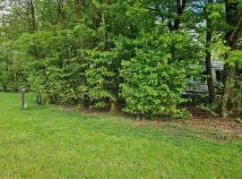 Camping Alkenhaer Appelscha Lege Kampeerplaats