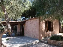 Villa Premiere immersa nel verde a Castelluzzo