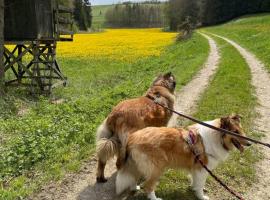 Ferienwohnung Aussicht, Monheimer Alb, Altm&uuml;hltal, hotel con estacionamiento en R&ouml;gling
