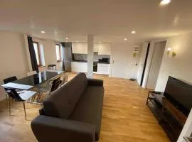 Appartement duplex centre ville tout confort proche Nancy