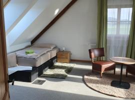 Gutshof Seenland, cheap hotel in Seekirchen am Wallersee