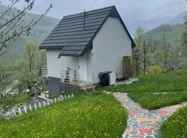 Country house Eco estate, hotel in Bijelo Polje