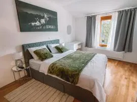 Apartma Pohorske terase Brumen Mariborsko Pohorje