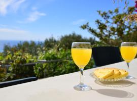 Perfetto Country House - Myrtos View, country house in Anomeriá