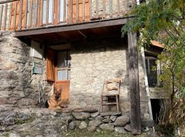 Chalet des Pyrénées，Capoulet-et-Junac的有停車位的飯店