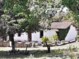 B&B I Menhir
