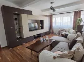 Apartament in Timisoara