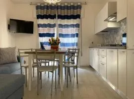 Bright apartment close to the beach