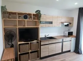 Chambre aménagé en studio