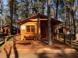 Wdzydzkie Sioło, hotel in Borsk