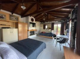 Country Lux Apartment near Airport, hotel in Markopoulo