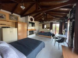 Country Lux Apartment near Airport, villa i Markopoulo